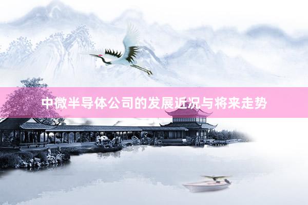 中微半导体公司的发展近况与将来走势